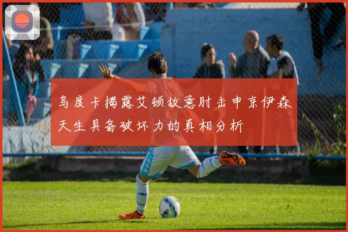 乌度卡揭露艾顿故意肘击申京伊森天生具备破坏力的真相分析