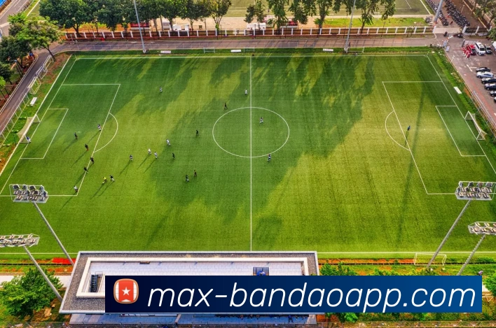 半岛体育APP 封面图